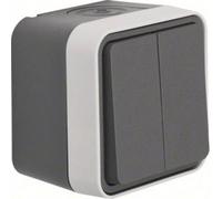 Bouton-poussoir pour gamme Berker 50753515 W.1 apparent gris, gris clair