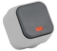 Bouton-poussoir Simple avec Voyant Lumineux IP54 PC G