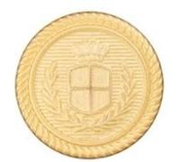 Boutons blazer à queue argent 18mm X 3 - Prym(...) - Or Or G