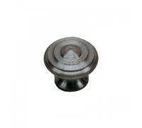 Boutons de meuble 1538 en fer poli-diamètre 25mm DUBOIS