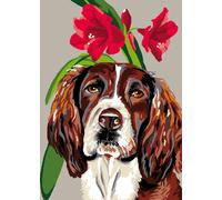 Prym Bottone A Pressione, Plastic, Nero, 13 mm, schwarz, 12 Stück, unità