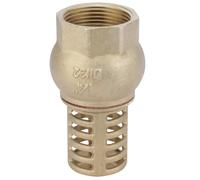 Boutté - Crépine laiton 50x60 - Filtre d’aspiration pour pompe et arrosage