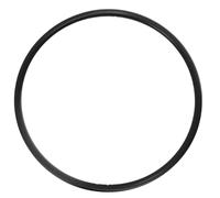 Boutté - Joint pour porte-filtre à eau