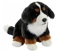 Bouvier Bernois Assis 30cm