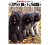 Bouvier des Flandres Calendar 2026 - 2027: Enjoy Every Day With Monthly Planner Jan 2026 To Dec 2027 Stunning Photography Us Holidays Ideal Present