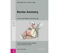 Bovine Anatomy
