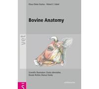 Bovine Anatomy