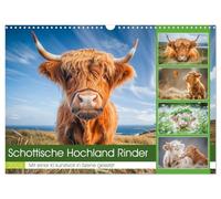 Bovins des hautes terres d'Écosse, Version française (Calendrier mural 2026 DIN A3 portrait), Calendrier CALVENDO mensuel