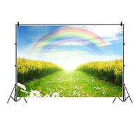 Bovlleetd 350x250cm Arc-en-Ciel Nature Fond Printemps Champs Verts Paysage Marguerite Floral Photographie Toile de Fond Nouveau-né bébé Adultes Portrait Photo Studio Accessoires Vinyle