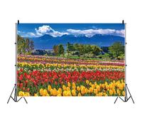 Bovlleetd Alpes Vue Fabuleuse Photo Fond Bleu Ciel Blanc Nuages Verts forêts colorées Tulipes Champs Photographie en Plein air Fond décor de fête Paysage de la Nature européenne10x8ftVinyl