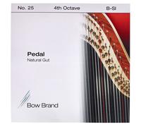 Bow Brand Bow Brand Pedal Natural Gut 4th B No.25