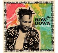 Bow Down Vinyle