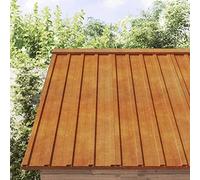 BOWEKAM Home & Garden Lot de 12 panneaux de toit en acier Corten Rouillé 100 x 44 cm