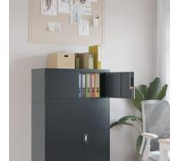 BOWEKAM Meubles, armoires et rangement, classeurs, armoire de classement, armoire anthracite 90 x 40 x 40 cm en acier