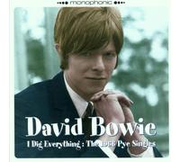 Bowie,David - I Dig Everything/1966 Pye Sing [Import]