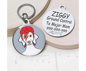 Bowiedog Étiquette d’identification personnalisée en acier inoxydable pour chien - David Bowie dans le monde des chiens.