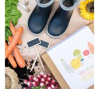 Box de graines mon premier potager