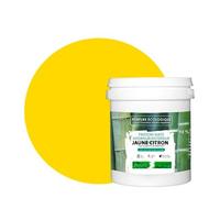 BOX DECO COULEURS Peinture naturelle écologique intérieur extérieur aspect mat Natura - 1L, Jaune Citron