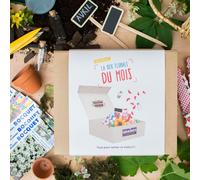 Box graines de fleurs à semer en avril