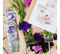 Box graines de fleurs à semer en février