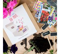 Box graines de fleurs à semer en janvier