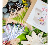 Box graines de fleurs à semer en juillet