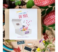 Box graines de fleurs à semer en octobre