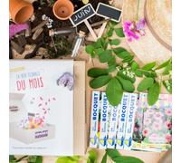 Box graines de fleurs de juin