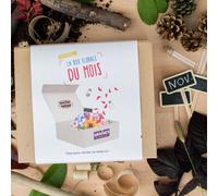 Box graines de fleurs de novembre