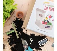 Box graines potagère à semer en octobre