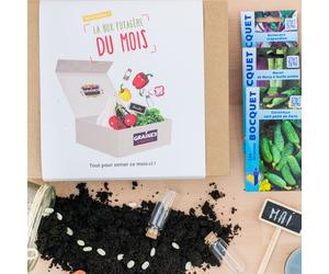 Box graines potagères à semer en mai