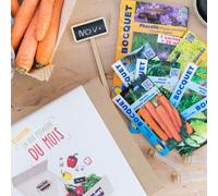 Box graines potagères de novembre