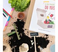 Box graines potagères de septembre