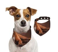 Boxer allongé et Cool,Bandanas pour Chien, écharpe en Coton, Bavoirs réglables pour Animaux de Compagnie,L