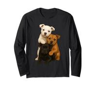 Boxer American Bully Staffordshire Bull Terrier Manche Longue