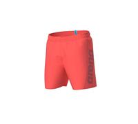 Boxer Arena Fundamentals Logo 3XL
