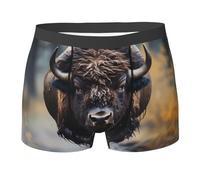 Boxer Briefs Doux Shorty sous Vetement Bisons D'Amérique du Nord Ample Boxers Homme pour Quotidien Sports XL