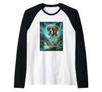 Boxer Chien Aurore Boréale Aurore Boréale Nature Lune Manche Raglan