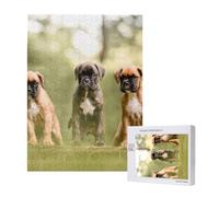 Boxer Chiens Chiots Animaux de Compagnie Chiens de Famille,Puzzle Familial en Bois de 500 pièces pour Adultes et Adolescents