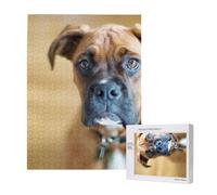 Boxer Chiens Chiots Animaux de Compagnie Chiens,Puzzle Familial en Bois de 500 pièces pour Adultes et Adolescents