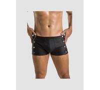 Boxer David noir