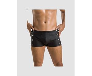 Boxer David noir