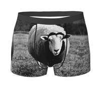 Boxer élastique absorbant la transpiration avec imprimé d'agneau mignon de mouton, boxer élastique de qualité supérieure pour homme, noir, XX-Large