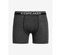 Icebreaker - Anatomica Boxers - Sous-vêtement mérinos - M - gritstone heather