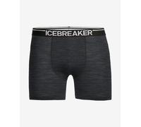 Boxer Icebreaker Anatomica gris - XL
