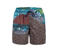 Boxer natation Arena Multicolore S