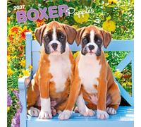 Boxer Puppies 2027 12 X 24 Inch (Hanging) Monthly Square Wall Calendar Plastic-Free