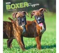 Boxer Puppies - Boxer Welpen 2026 - 16-Monatskalender: Original BrownTrout-Kalender [Mehrsprachig] [Kalender]