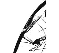 Boxer Rebellion,the - Exits (Remastered Red Swirl Vinyl Lp)