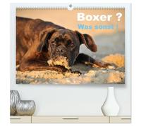 Boxer ? Was sonst ! (hochwertiger Premium Wandkalender 2026 DIN A2 quer), Kunstdruck in Hochglanz: Ein toller Boxerkalender, der zeigt, wie Boxer so sind.